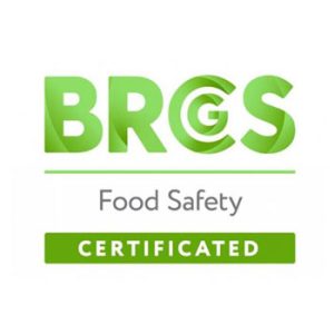logo1